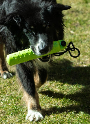 PROCYON Magic Treat Dummy