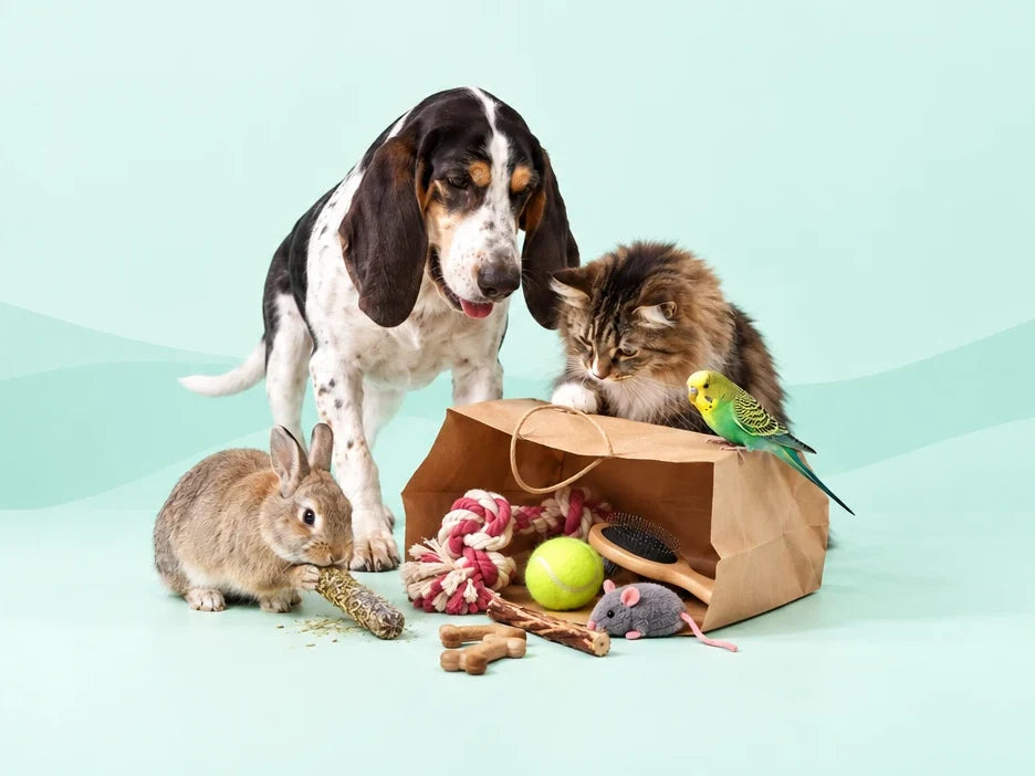 Hund, kat, kanin og undulat med gratis produkter fra en papirpose