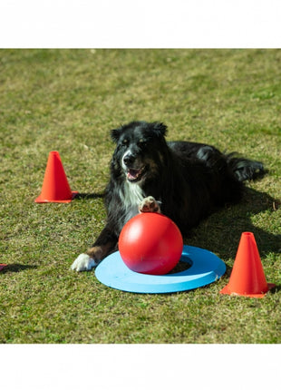 PROCYON Dog Golf Set