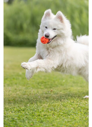 Trixie Wabenball aus TPE